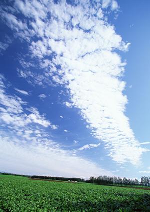 静岡市清水区に新しい家族葬専用斎場「家族葬のタクセル上原」が2022年7月オープン ? 低価格で安心の少人数葬儀を実現