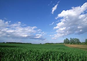 【静岡県浜松市中央区】家族葬のタクセル有玉南町｜低価格・プライベート空間で安心の葬儀サービス