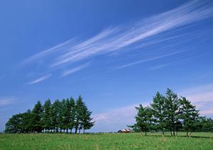 小山市で家族葬を行いたい場合に