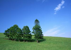 静岡県浜松市における信頼と実績の葬儀サービス【富士葬祭 佐鳴台】の特徴と利用のメリット