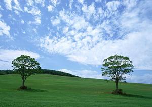 川越市の様々な葬儀ができる葬祭センター