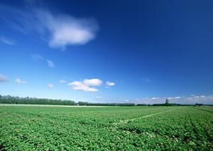 越谷市で信頼の葬儀サービスを提供するティア越谷：安心と利便性を追求した総合葬儀場の詳細情報