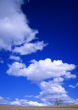 静岡県富士市に新規オープン！家族葬のタクセル天間：安心と低価格を実現した家族葬専門斎場ガイド