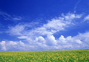 掛川市の家族葬・一般葬に対応した安心の葬儀場【富士葬祭 掛川】の詳細情報と特徴