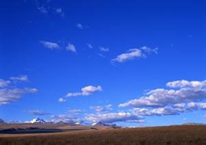 東京で葬式の手配をするのであればこちら