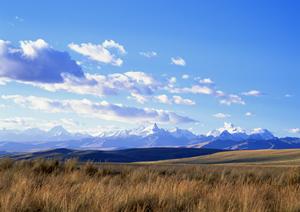 403 Forbiddenエラーの原因と対処法：ウェブサイトのアクセス制限について詳しく解説