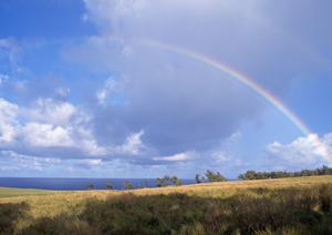 大阪市でお勧めの屋外従来型墓地のお寺