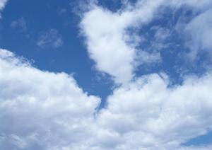 故人が安心して海で永眠するための散骨