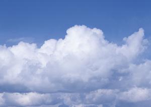 23区墓を考えているならお勧めは