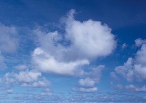 静岡県富士宮市の家族葬・一日葬に対応した葬儀場の特徴と選び方ガイド