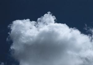 静岡県にある永代供養をしているお寺