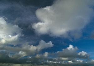 静岡市の家族葬と葬儀場の安心・快適なサービスを提供する富士葬祭 聖一色の特徴と詳細情報